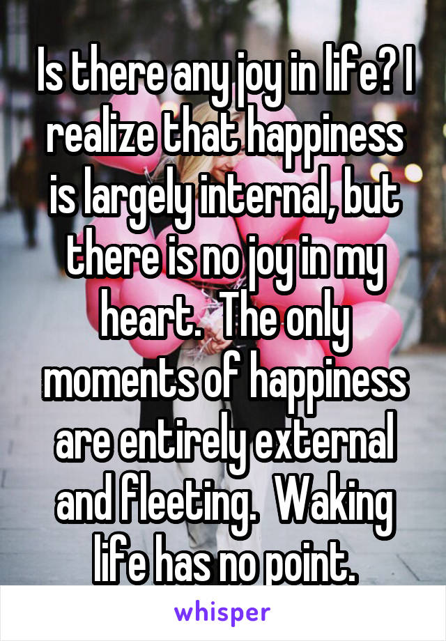 Is there any joy in life? I realize that happiness is largely internal, but there is no joy in my heart.  The only moments of happiness are entirely external and fleeting.  Waking life has no point.