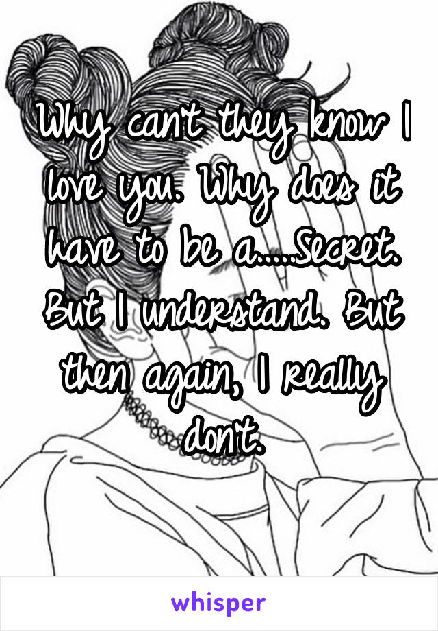 Why can't they know I love you. Why does it have to be a.....Secret. But I understand. But then again, I really don't.
