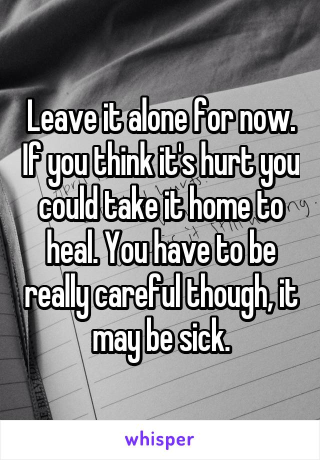 Leave it alone for now. If you think it's hurt you could take it home to heal. You have to be really careful though, it may be sick.