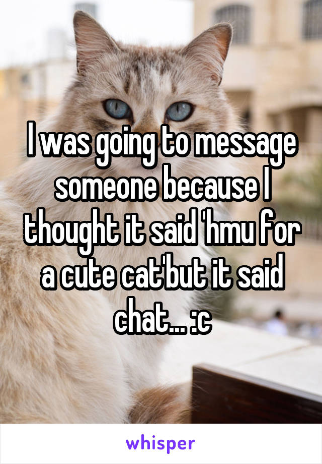 I was going to message someone because I thought it said 'hmu for a cute cat'but it said chat... :c