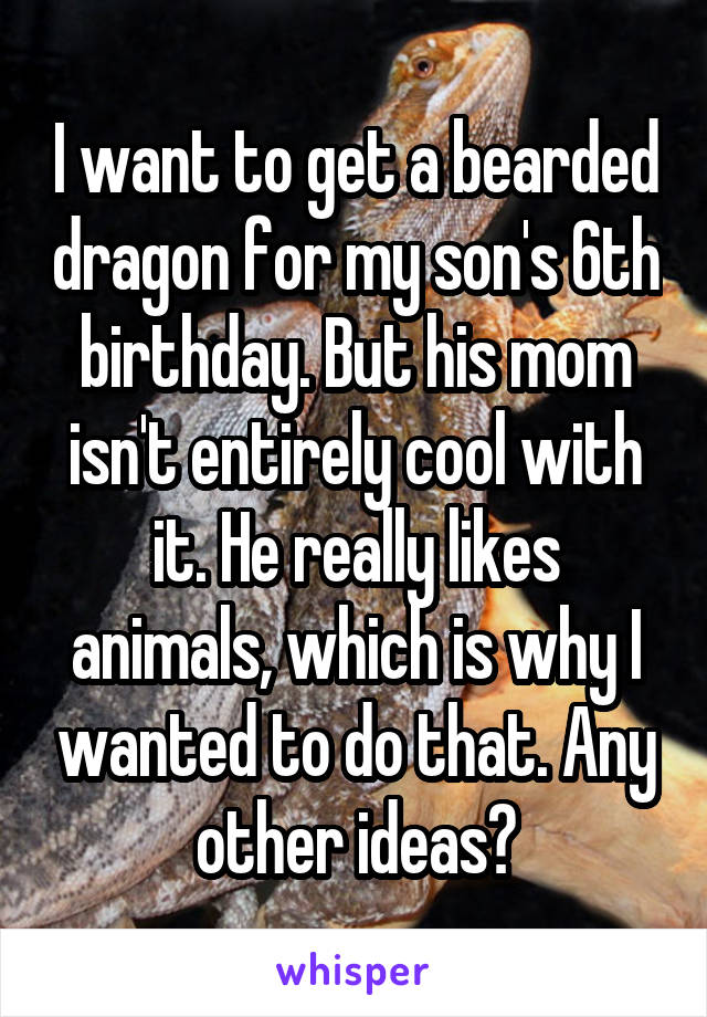 I want to get a bearded dragon for my son's 6th birthday. But his mom isn't entirely cool with it. He really likes animals, which is why I wanted to do that. Any other ideas?