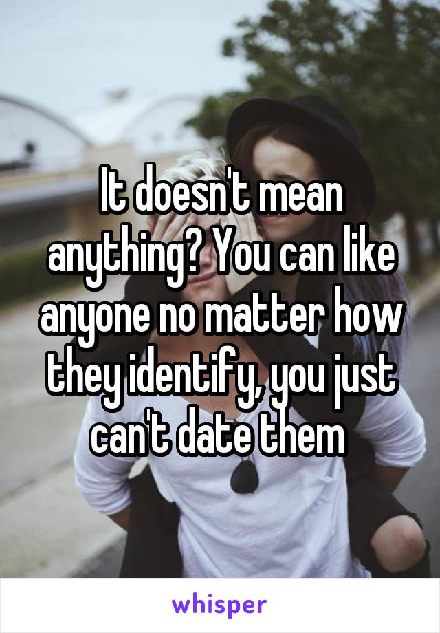 It doesn't mean anything? You can like anyone no matter how they identify, you just can't date them 