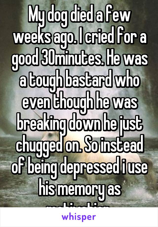 My dog died a few weeks ago. I cried for a good 30minutes. He was a tough bastard who even though he was breaking down he just chugged on. So instead of being depressed i use his memory as motivation 