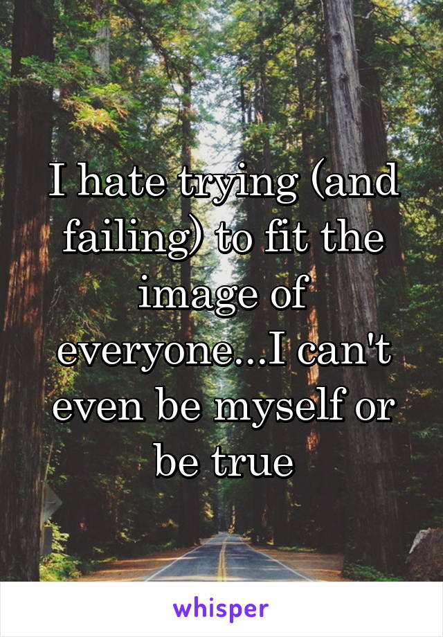 I hate trying (and failing) to fit the image of everyone...I can't even be myself or be true