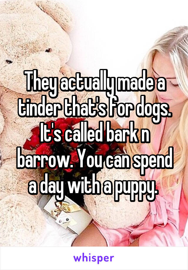 They actually made a tinder that's for dogs. It's called bark n barrow. You can spend a day with a puppy. 