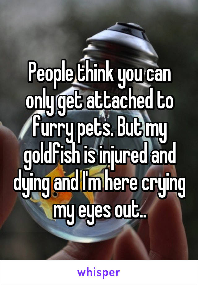 People think you can only get attached to furry pets. But my goldfish is injured and dying and I'm here crying my eyes out..