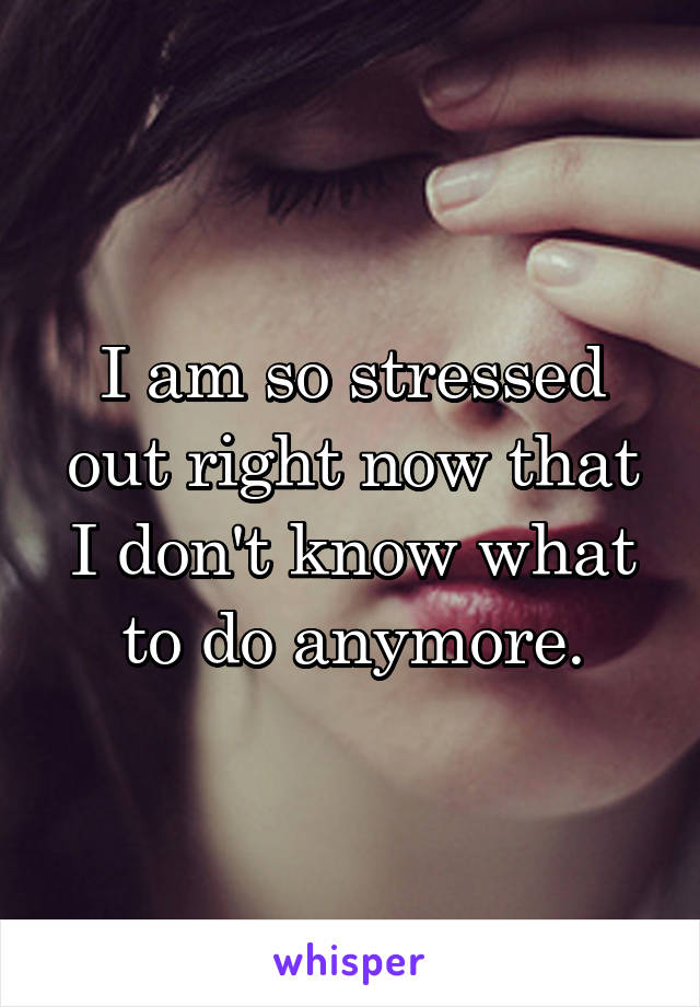 I am so stressed out right now that I don't know what to do anymore.