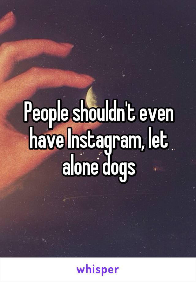 People shouldn't even have Instagram, let alone dogs