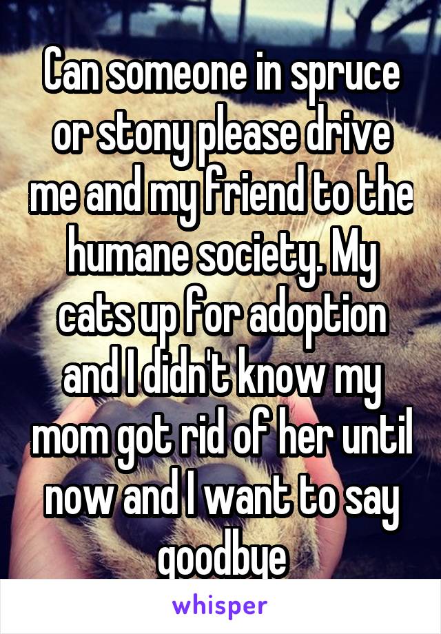 Can someone in spruce or stony please drive me and my friend to the humane society. My cats up for adoption and I didn't know my mom got rid of her until now and I want to say goodbye