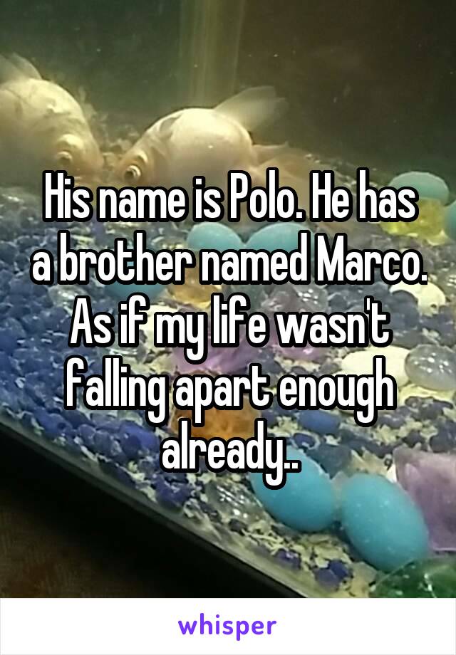 His name is Polo. He has a brother named Marco. As if my life wasn't falling apart enough already..