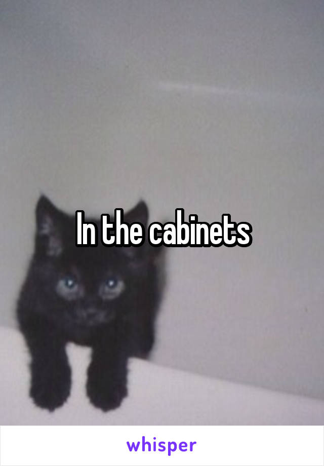 In the cabinets