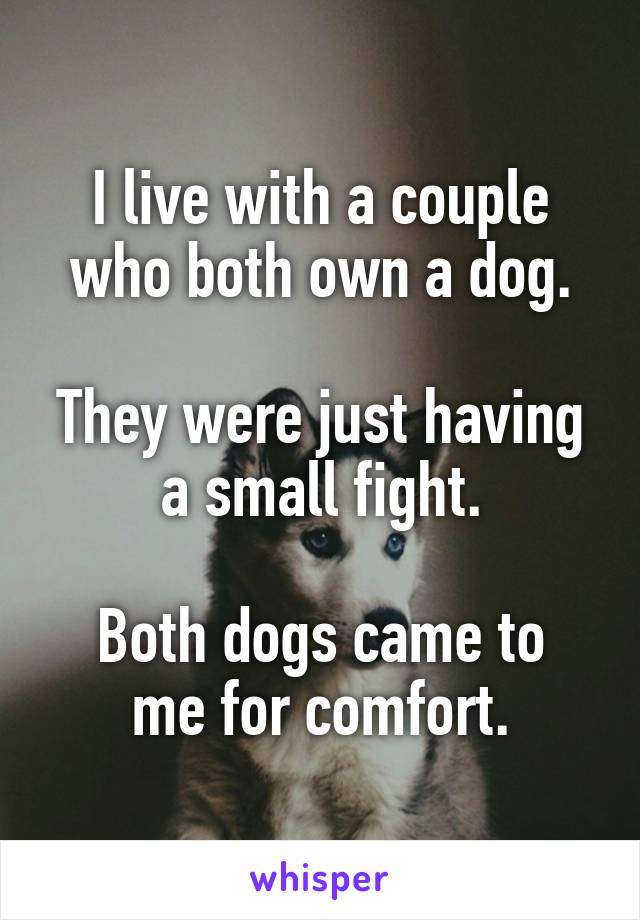 I live with a couple who both own a dog.

They were just having a small fight.

Both dogs came to me for comfort.