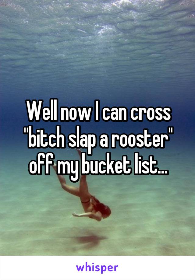 Well now I can cross "bitch slap a rooster" off my bucket list...