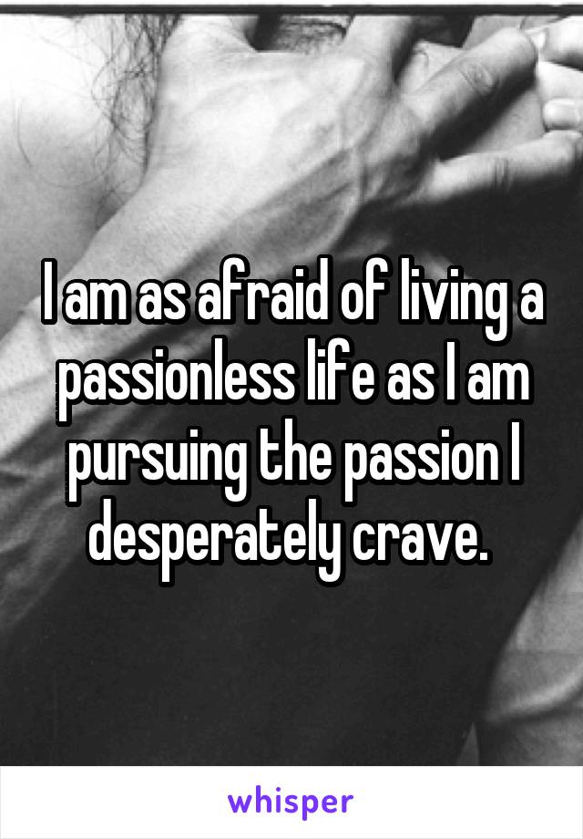 I am as afraid of living a passionless life as I am pursuing the passion I desperately crave. 