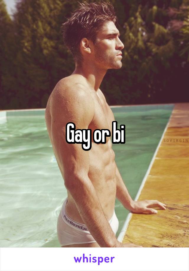 Gay or bi