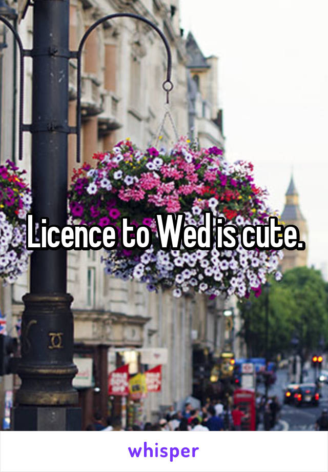 Licence to Wed is cute.