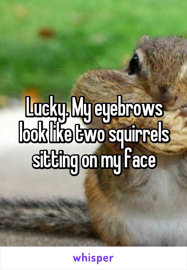 Lucky. My eyebrows look like two squirrels sitting on my face