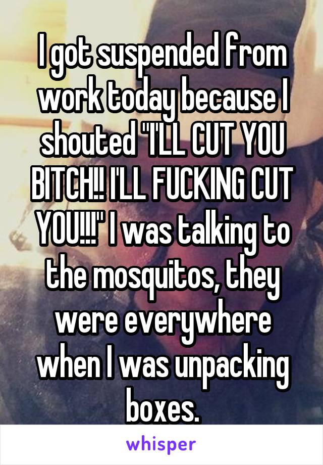I got suspended from work today because I shouted "I'LL CUT YOU BITCH!! I'LL FUCKING CUT YOU!!!" I was talking to the mosquitos, they were everywhere when I was unpacking boxes.