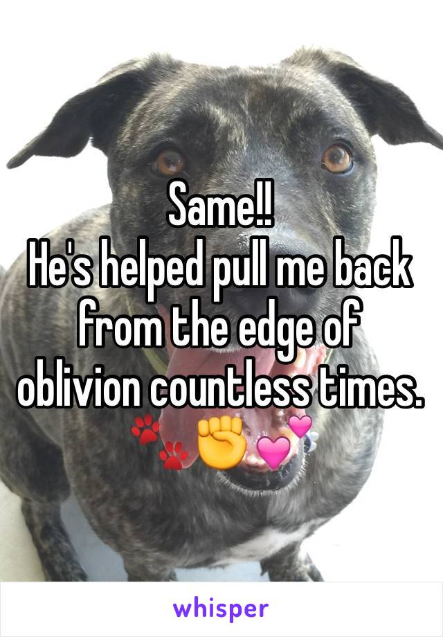Same!!
He's helped pull me back from the edge of oblivion countless times.
🐾✊💕