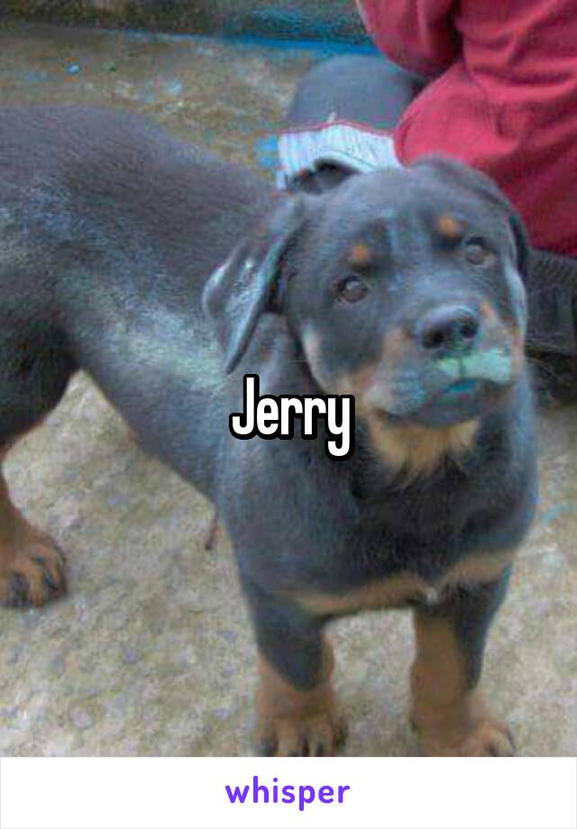 Jerry