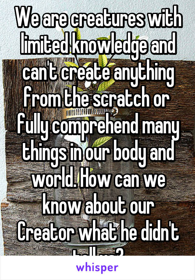 We are creatures with limited knowledge and can't create anything from the scratch or  fully comprehend many things in our body and world. How can we know about our Creator what he didn't tell us?