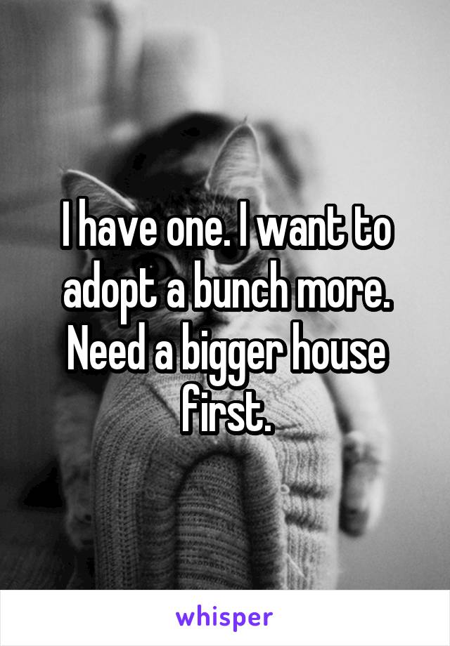 I have one. I want to adopt a bunch more.
Need a bigger house first.