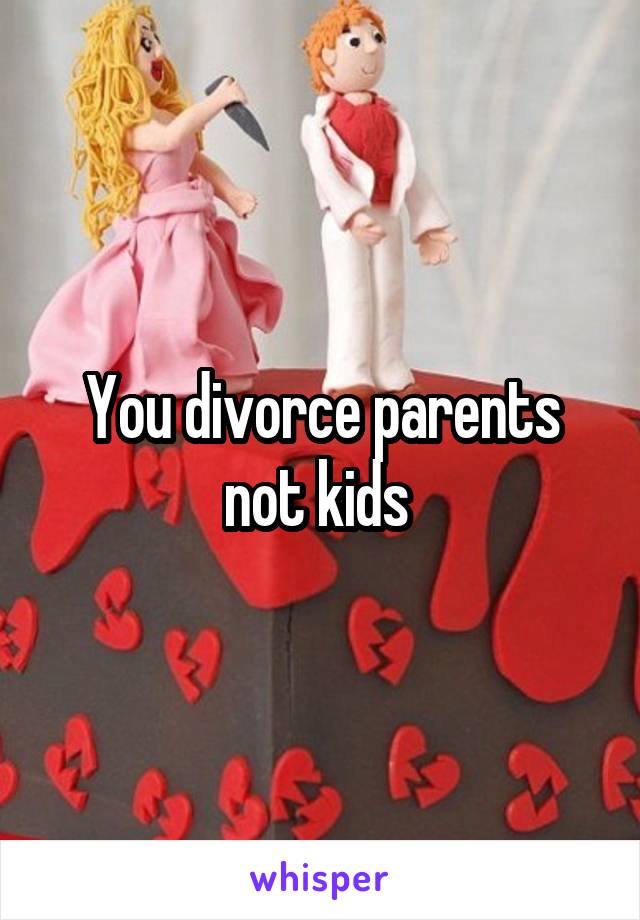 You divorce parents not kids 