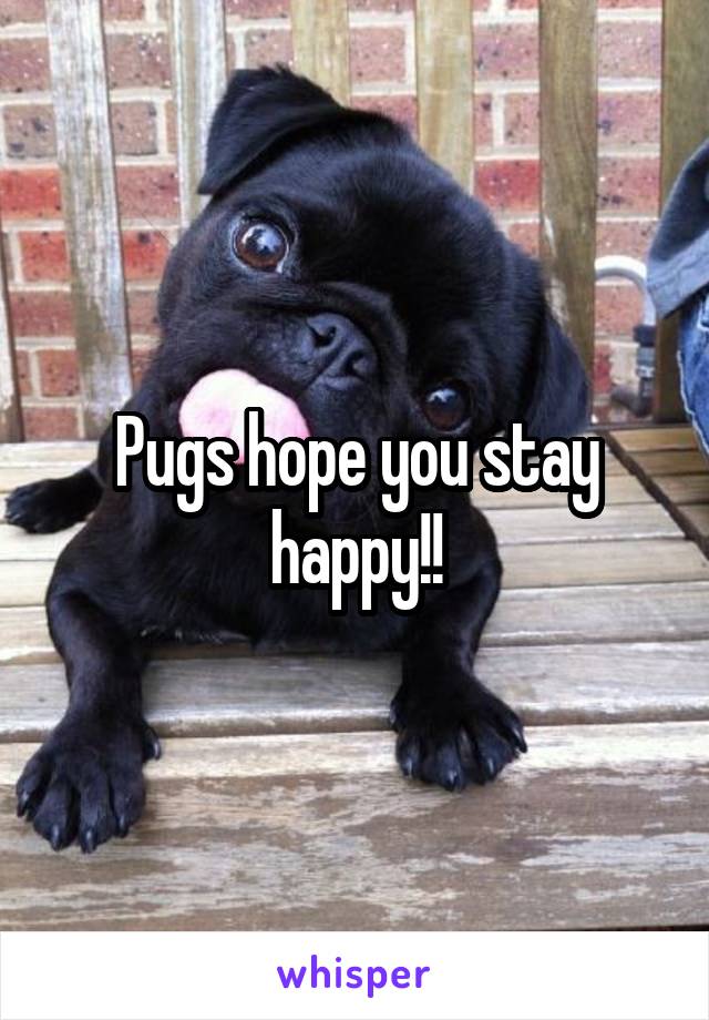 Pugs hope you stay happy!!