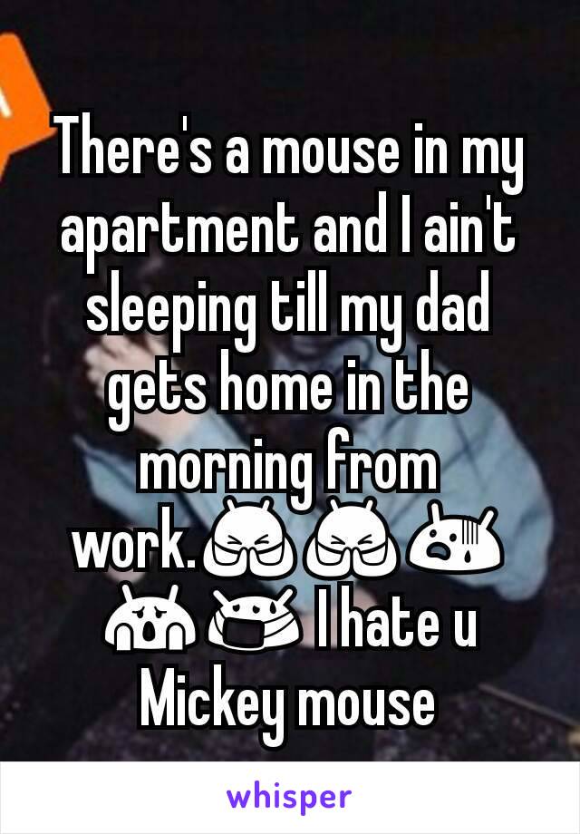 There's a mouse in my apartment and I ain't sleeping till my dad gets home in the morning from work.🙏🙏😨😱😷 I hate u Mickey mouse