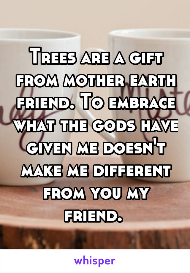 Trees are a gift from mother earth friend. To embrace what the gods have given me doesn't make me different from you my friend. 