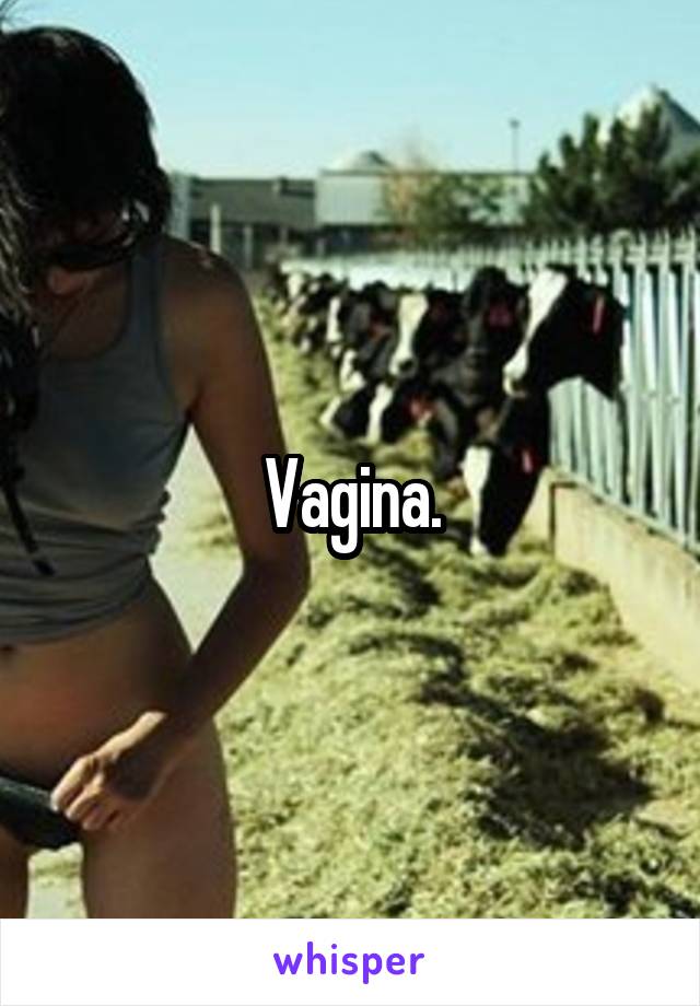 Vagina.