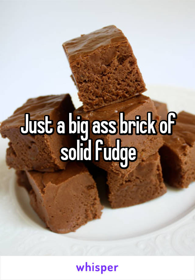 Just a big ass brick of solid fudge