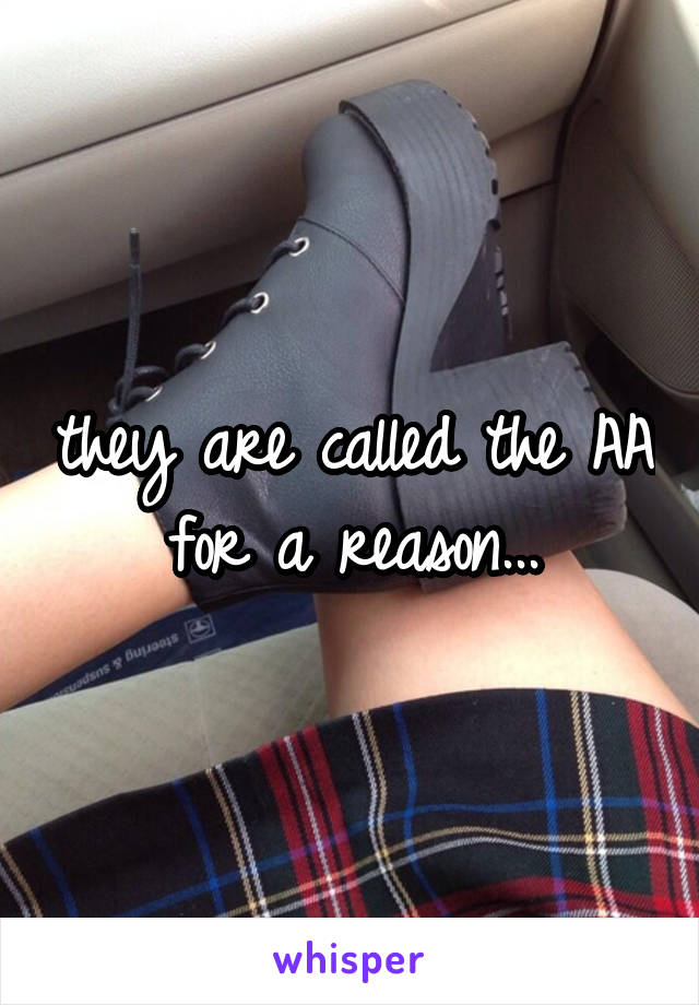 they are called the AA for a reason...