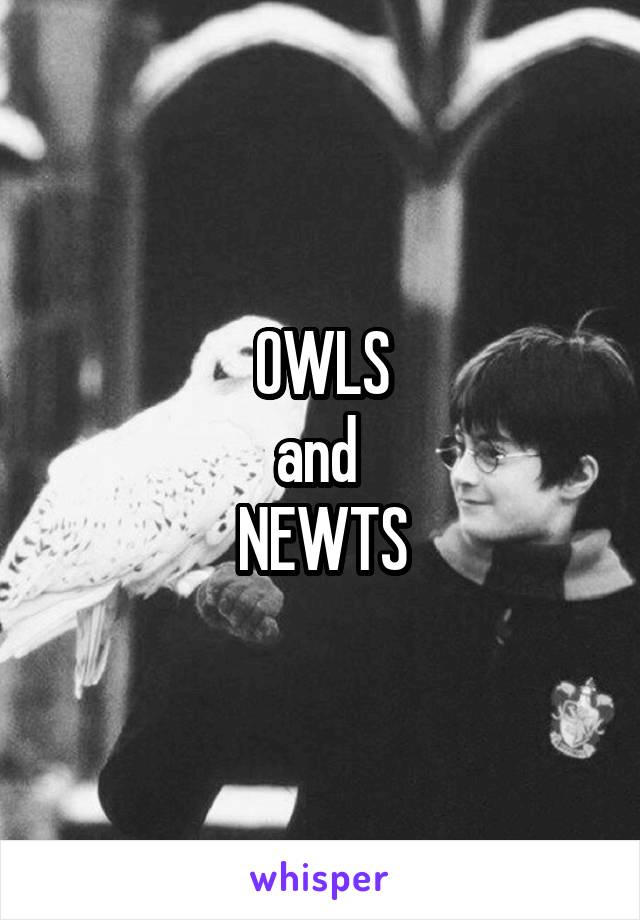OWLS
and 
NEWTS