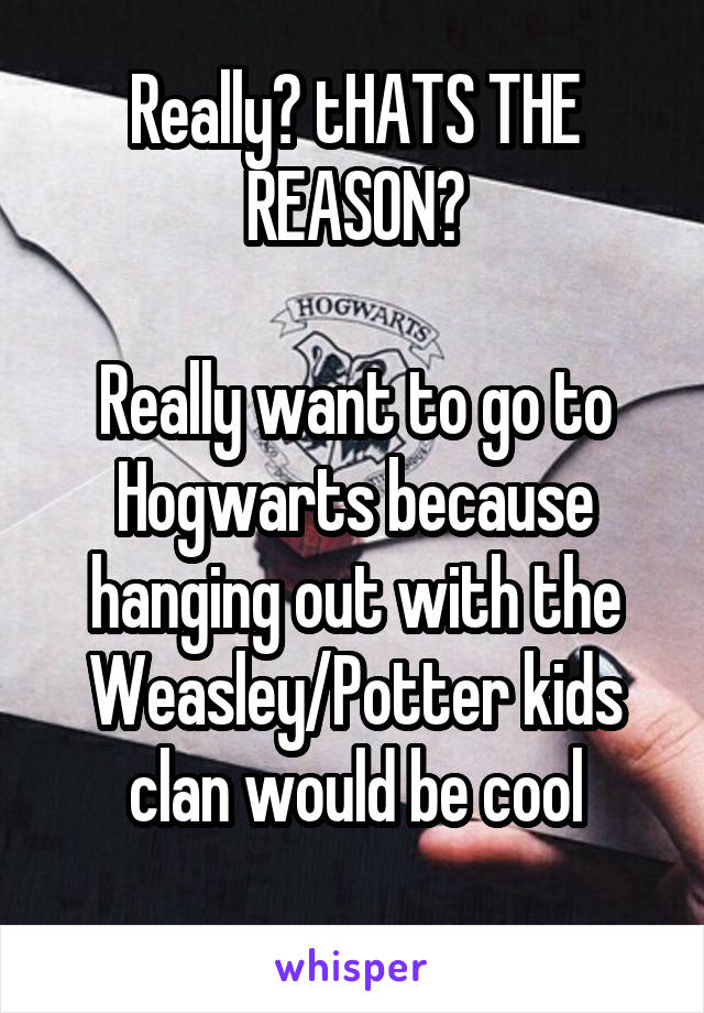 Really? tHATS THE REASON?

Really want to go to Hogwarts because hanging out with the Weasley/Potter kids clan would be cool
