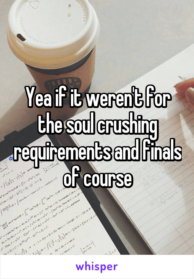 Yea if it weren't for the soul crushing requirements and finals of course