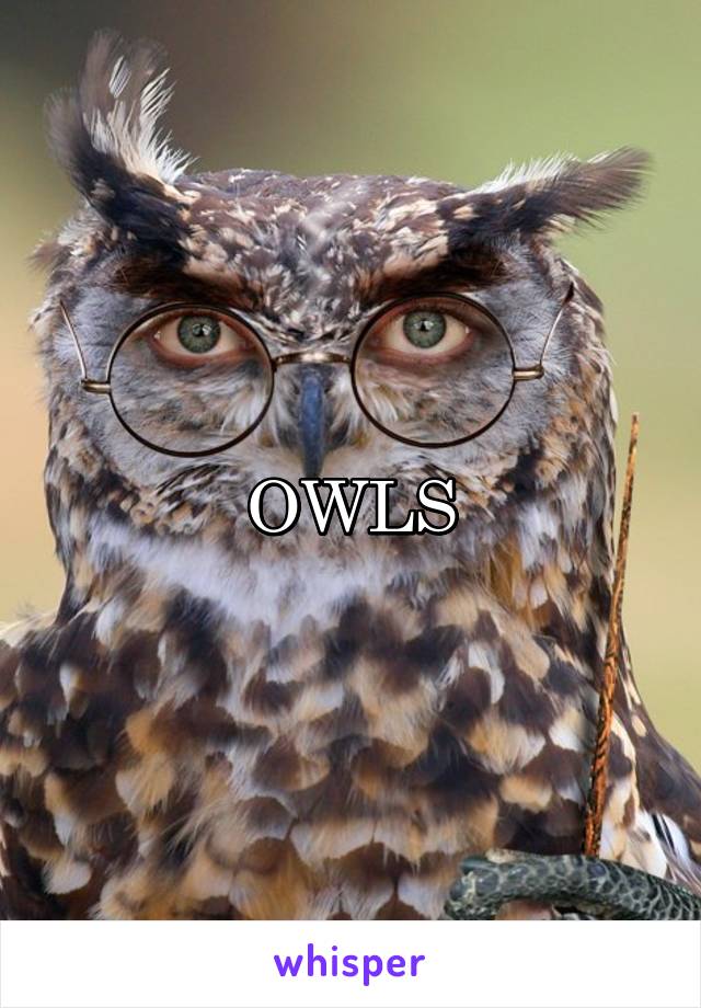 OWLS