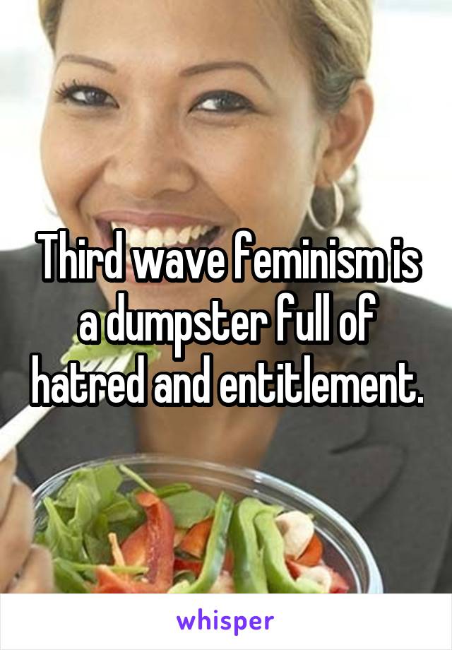 Third wave feminism is a dumpster full of hatred and entitlement.