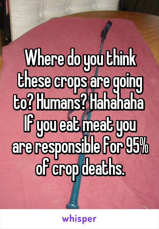 Where do you think these crops are going to? Humans? Hahahaha 
If you eat meat you are responsible for 95% of crop deaths.