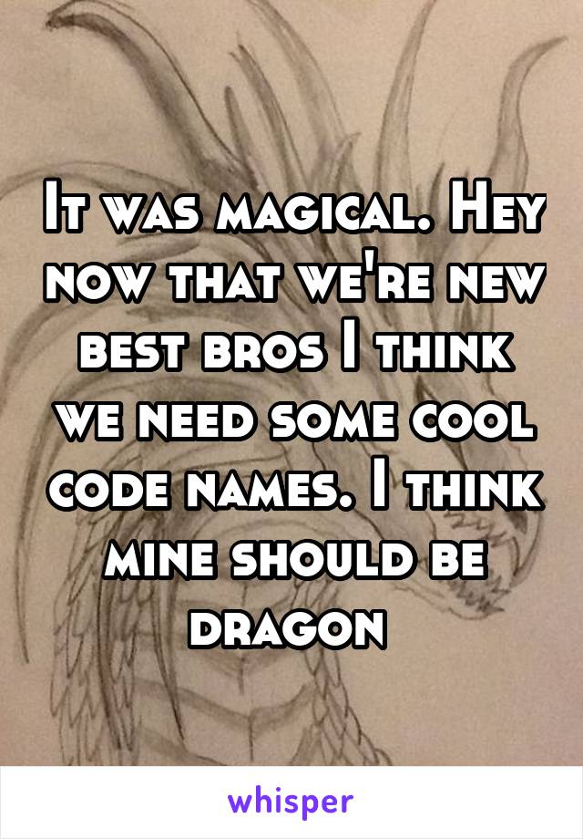 It was magical. Hey now that we're new best bros I think we need some cool code names. I think mine should be dragon 