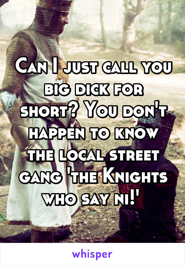 Can I just call you big dick for short? You don't happen to know the local street gang 'the Knights who say ni!' 