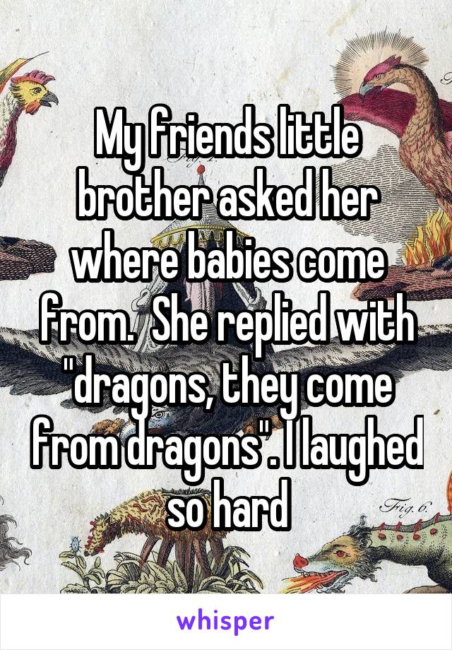 My friends little brother asked her where babies come from.  She replied with "dragons, they come from dragons". I laughed so hard