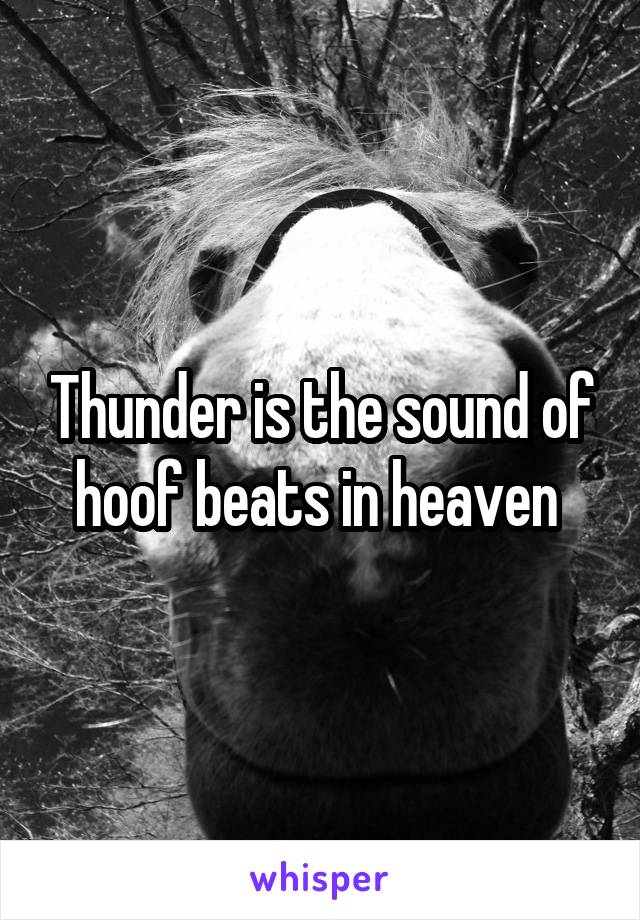 Thunder is the sound of hoof beats in heaven 