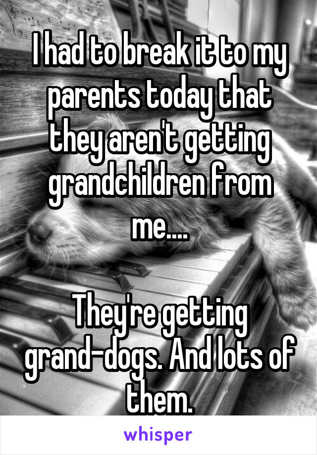 I had to break it to my parents today that they aren't getting grandchildren from me....

They're getting grand-dogs. And lots of them.