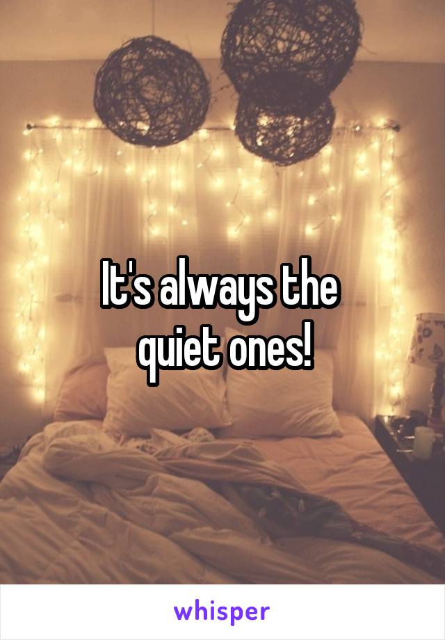 It's always the 
quiet ones!