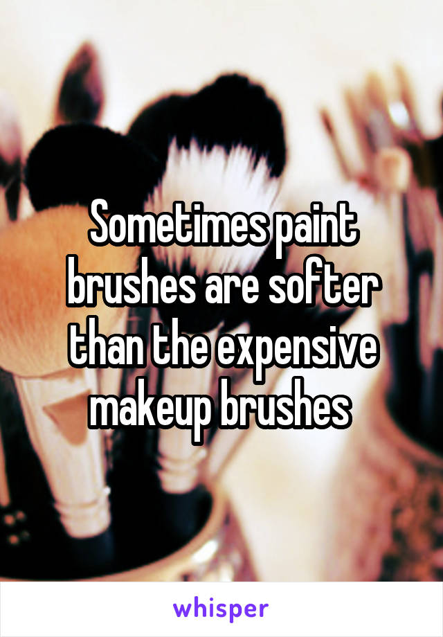 Sometimes paint brushes are softer than the expensive makeup brushes 