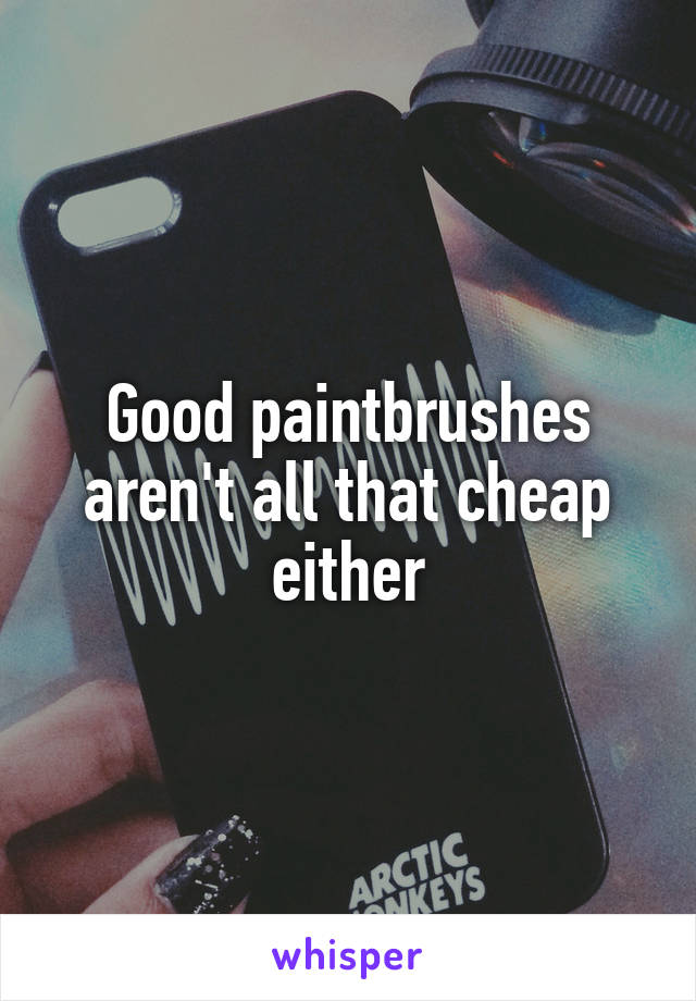 Good paintbrushes aren't all that cheap either