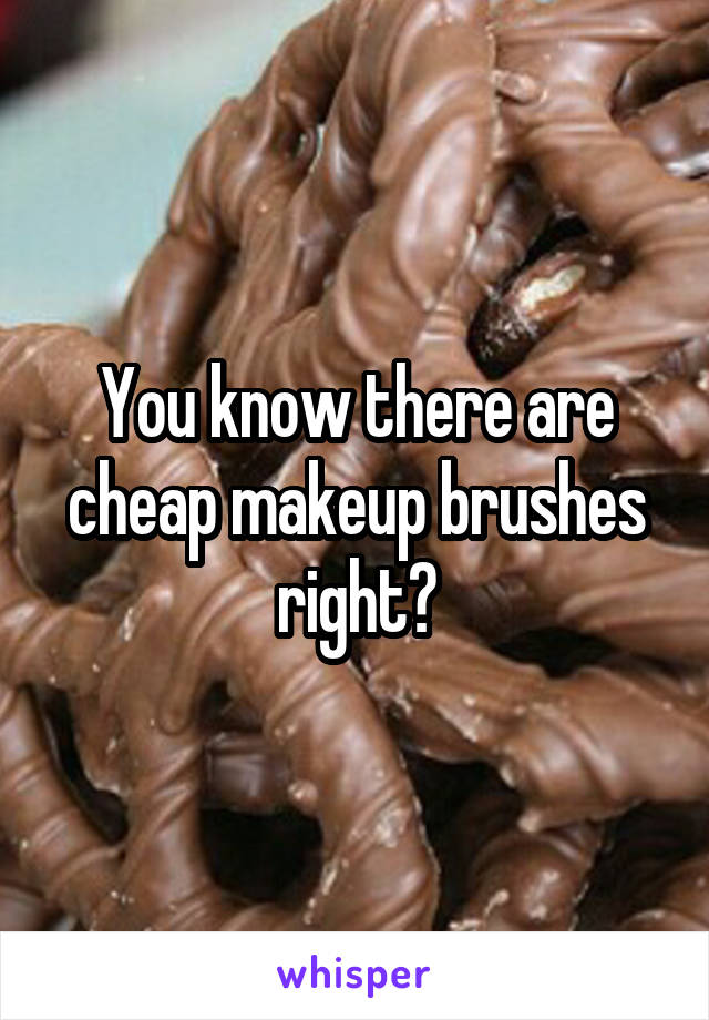 You know there are cheap makeup brushes right?