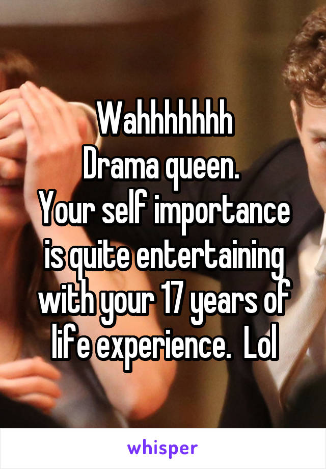 Wahhhhhhh
Drama queen. 
Your self importance is quite entertaining with your 17 years of life experience.  Lol