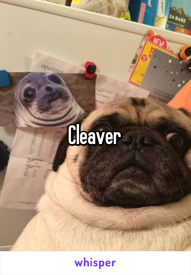 Cleaver 